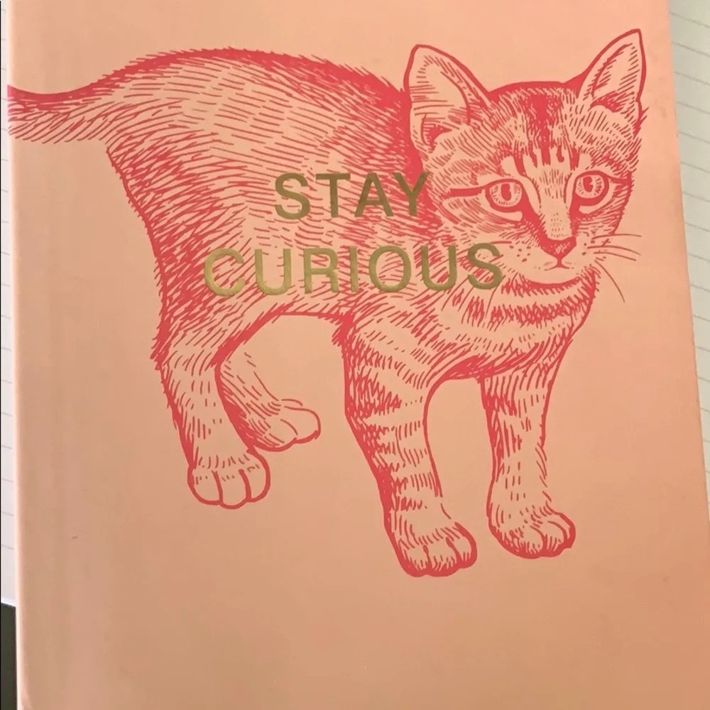 Carnet Stay Curious Cat Pink 96 Page Lined Journal
